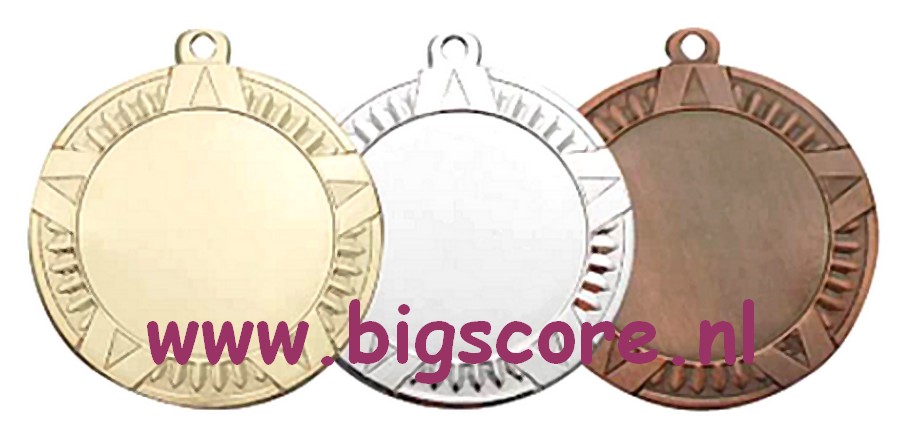 E 6008 Medaille Goud-Brons compleet OP=OP!!